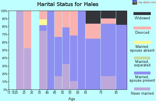 Zip code 54542 marital status for males
