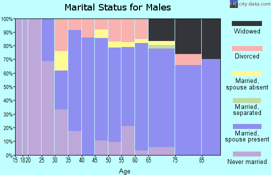 Zip code 54546 marital status for males