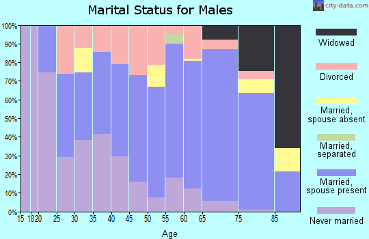 Zip code 54548 marital status for males