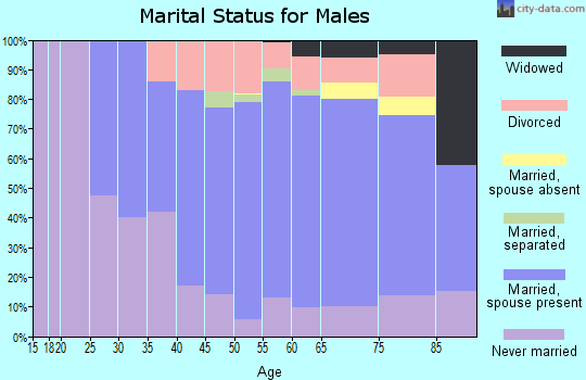 Zip code 54552 marital status for males