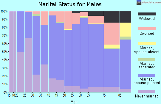 Zip code 54555 marital status for males