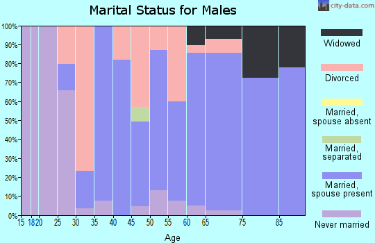Zip code 54558 marital status for males