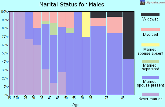 Zip code 54559 marital status for males