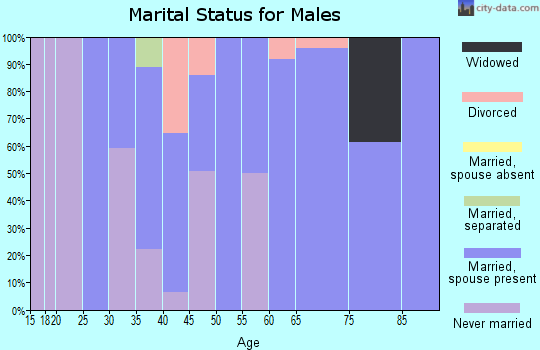 Zip code 54560 marital status for males