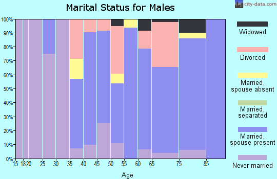Zip code 54566 marital status for males