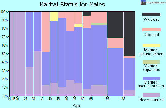 Zip code 54568 marital status for males