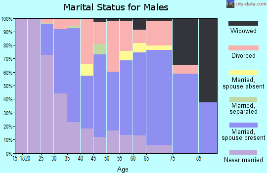 Zip code 54603 marital status for males