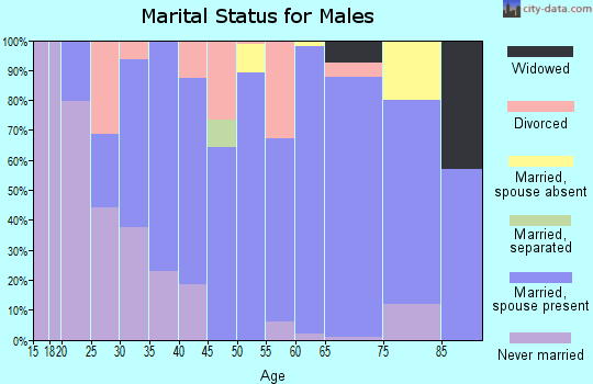 Zip code 54720 marital status for males