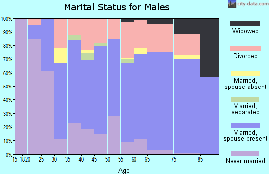 Zip code 54728 marital status for males