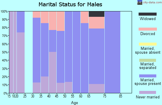 Zip code 54737 marital status for males