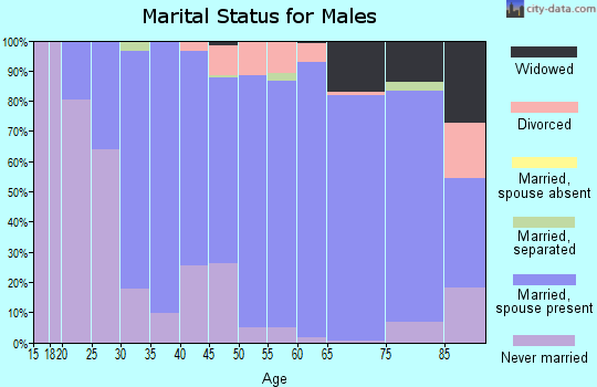 Zip code 54738 marital status for males