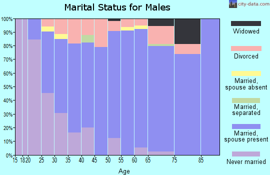 Zip code 54739 marital status for males