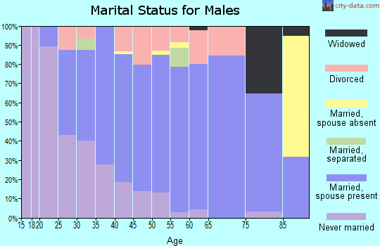Zip code 54740 marital status for males