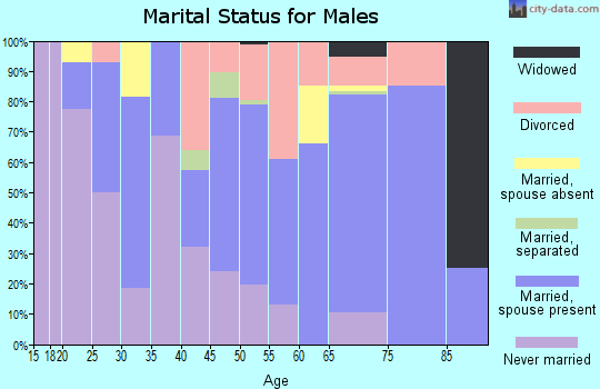 Zip code 54741 marital status for males