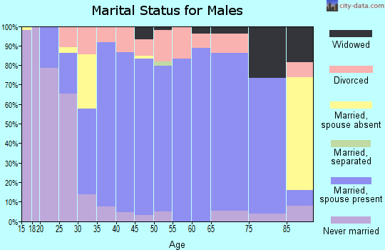 Zip code 54742 marital status for males