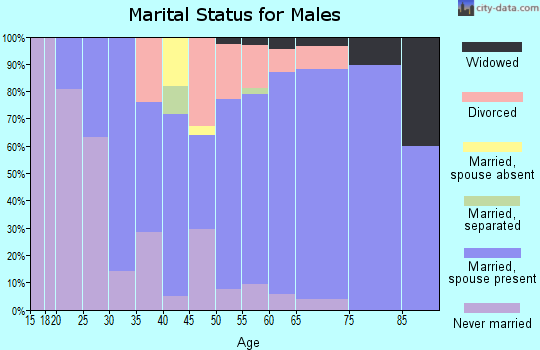 Zip code 54745 marital status for males