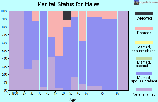 Zip code 54746 marital status for males