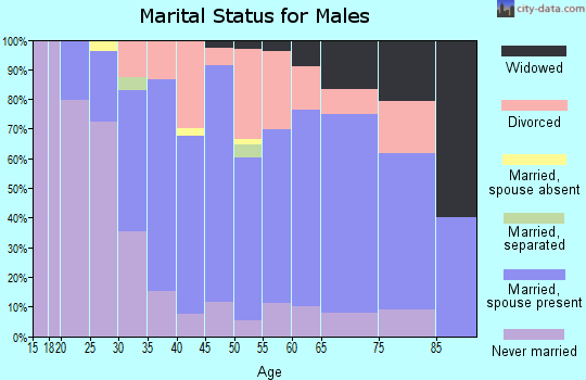 Zip code 54747 marital status for males