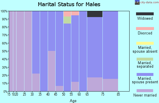 Zip code 54748 marital status for males