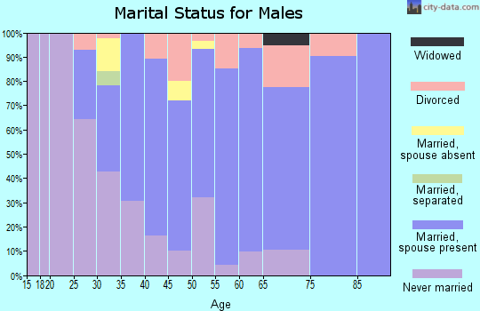 Zip code 54749 marital status for males
