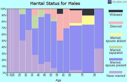 Zip code 54750 marital status for males