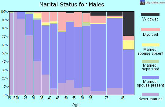 Zip code 54751 marital status for males