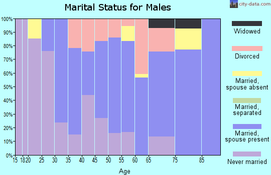 Zip code 54754 marital status for males