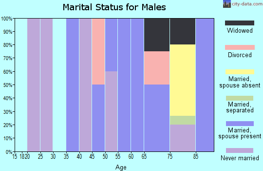 Zip code 54760 marital status for males