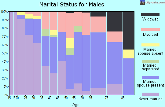 Zip code 54768 marital status for males