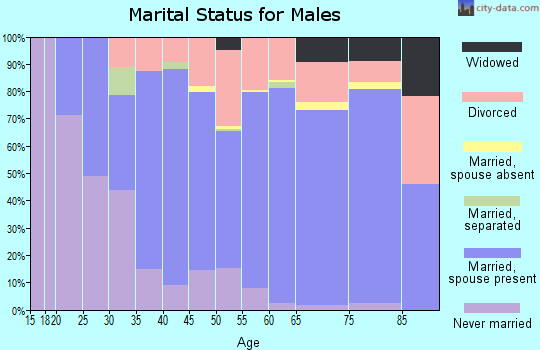 Zip code 54801 marital status for males