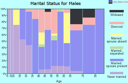 Zip code 54805 marital status for males