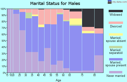 Zip code 54806 marital status for males