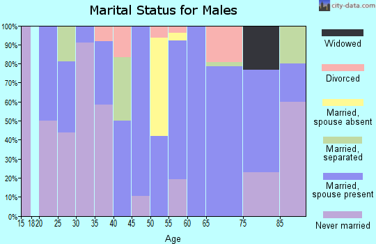 Zip code 54813 marital status for males