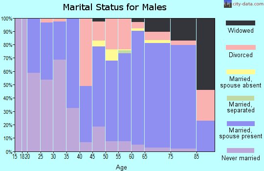 Zip code 54817 marital status for males