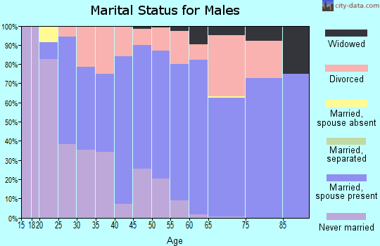 Zip code 54819 marital status for males