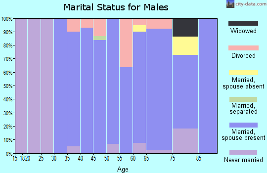 Zip code 54820 marital status for males