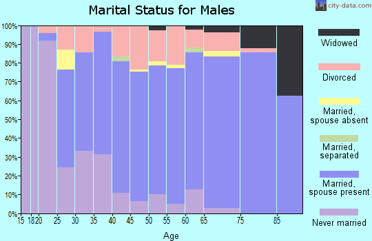 Zip code 54822 marital status for males