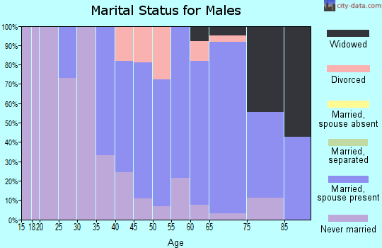 Zip code 54826 marital status for males