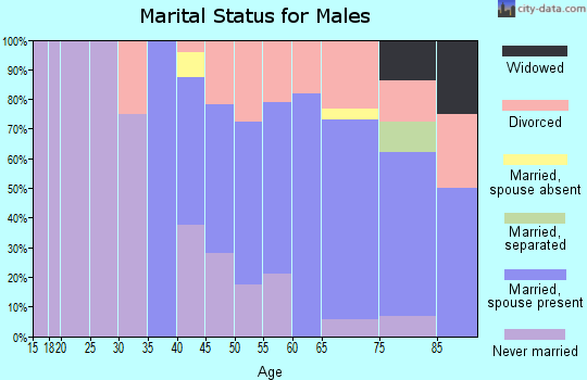 Zip code 54828 marital status for males
