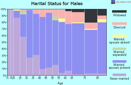 Zip code 54829 marital status for males