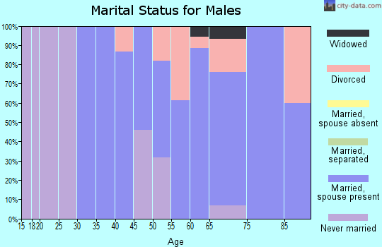 Zip code 54832 marital status for males