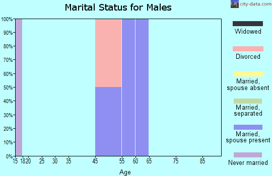Zip code 54834 marital status for males