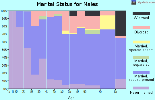 Zip code 54837 marital status for males