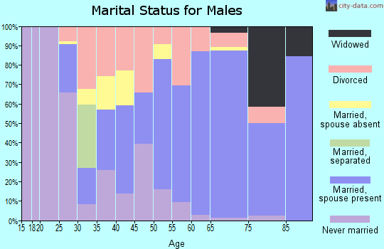 Zip code 54838 marital status for males
