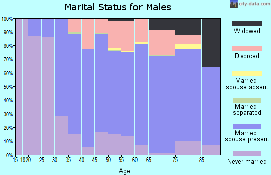 Zip code 54840 marital status for males