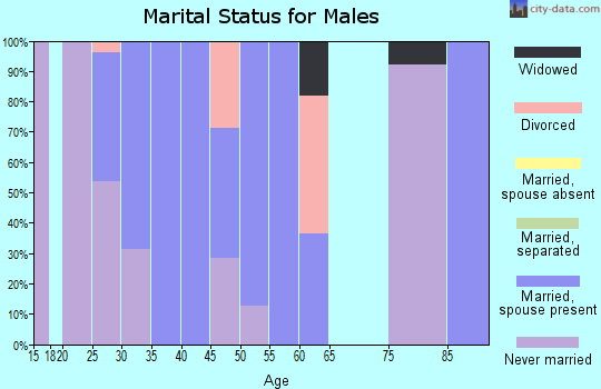 Zip code 54841 marital status for males