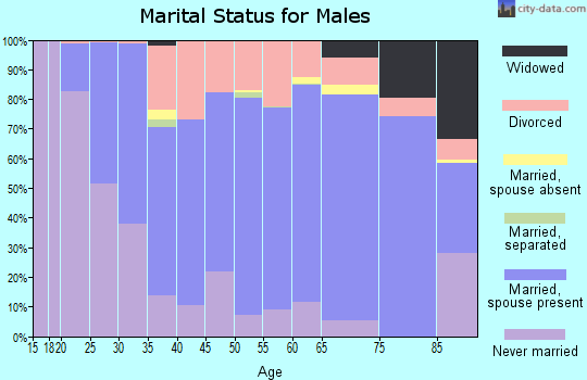 Zip code 54843 marital status for males