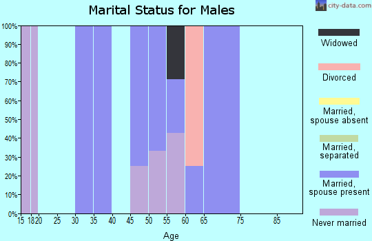 Zip code 54845 marital status for males