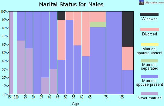 Zip code 54846 marital status for males