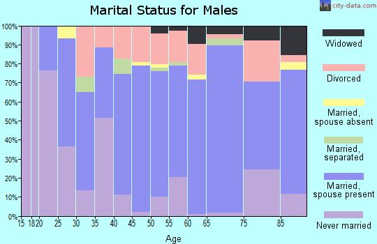 Zip code 54847 marital status for males
